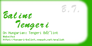 balint tengeri business card